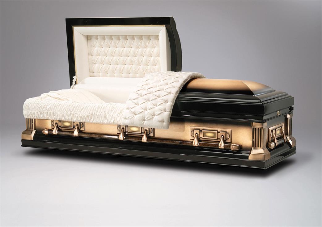 Image of BRUSHED BRONZE CASKET casket